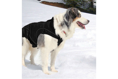 Image of Climaro Softshelljacke 55 cm bei JUMBO