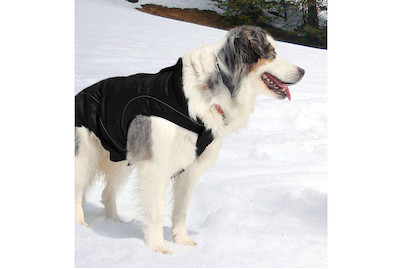 Image of Climaro Softshelljacke 45 cm bei JUMBO