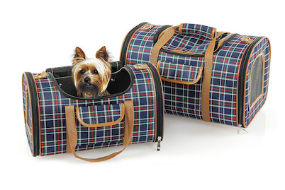 Image of Swisspet Tragtasche Bristol M bei JUMBO