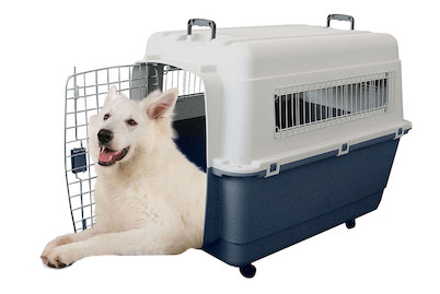 Image of Swisspet Transportbox FB4 68x51x47cm bei JUMBO