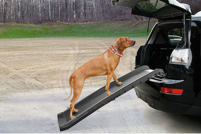 Image of Swisspet Auto Hunderampe Go In bei JUMBO