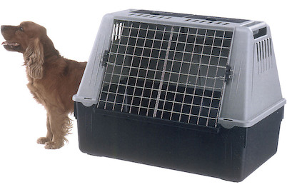 Image of Ferplast Transportbox Atlas Car 80 bei JUMBO