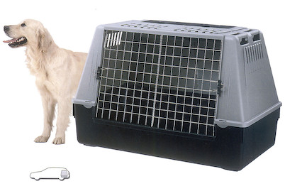 Image of Ferplast Transportbox Atlas Car 100 bei JUMBO