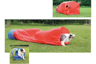 Image of Agility Sacktunnel bei JUMBO