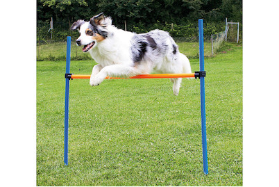 Image of Agility Hürden-Set bei JUMBO