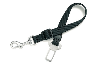 Image of Verbindungsgurt-Adapter 25 mm/53-85 cm bei JUMBO