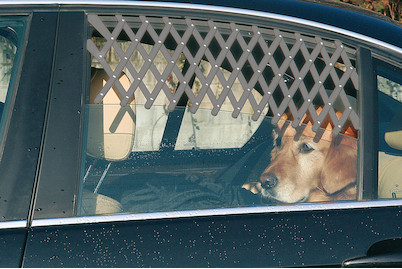 Image of Belüftungsgitter grau bei JUMBO