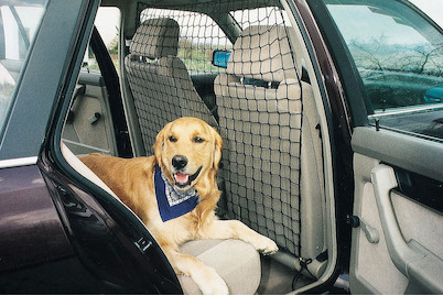 Image of Autosicherheitsnetz 122x63.5 cm bei JUMBO