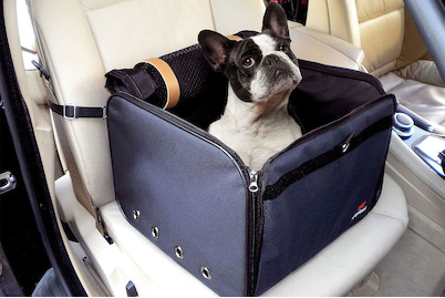 Image of Arca Hundetransporttasche 38x38x29 cm bei JUMBO