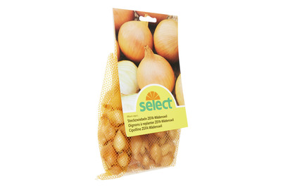 Image of Select Steckzwiebel Zefa-Wädenswil 250g bei JUMBO