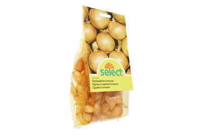 Image of Select Steckzwiebeln Centurion 250g bei JUMBO