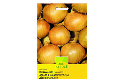 Image of Select Steckzwiebeln Centurion 500g bei JUMBO