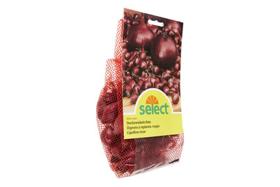 Image of Select Steckzwiebeln rot 250g bei JUMBO