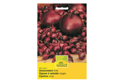 Image of Select Steckzwiebeln rot 500g bei JUMBO
