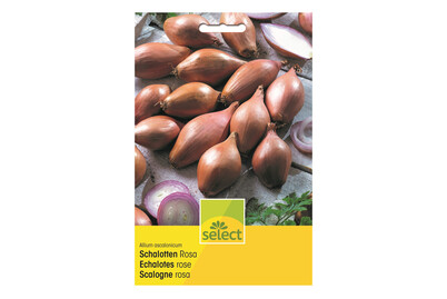 Image of Select Schalotten rosa 350g bei JUMBO