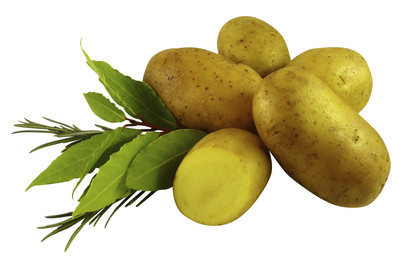 Image of Saatkartoffeln Agata 2.5 kg