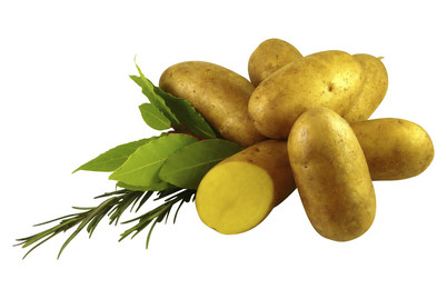 Image of Saatkartoffeln Charlotte 2.5 kg