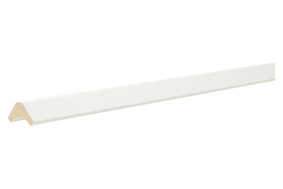 Image of Hohlkehlleiste 23x23 mm 1 m weiss bei JUMBO