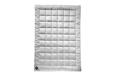 Image of Duvet Clivia Uno 200 x 210 cm bei JUMBO