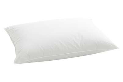 Image of billerbeck Kissen Duplo 150 65x100 bei JUMBO