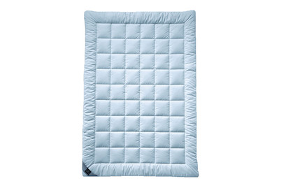 Image of billerbeck Duvet Meisterklasse Uno 200x210 bei JUMBO
