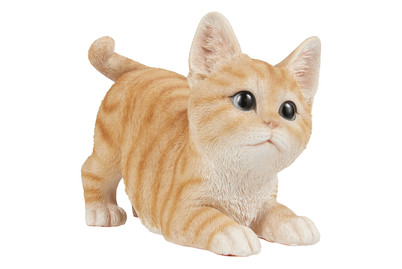 Image of Katze spielend bei JUMBO