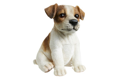 Image of Neogard Jack Russell Welpe bei JUMBO