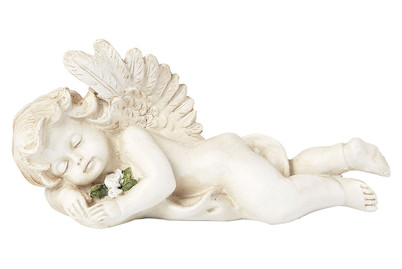 Image of Engel Alberto bei JUMBO