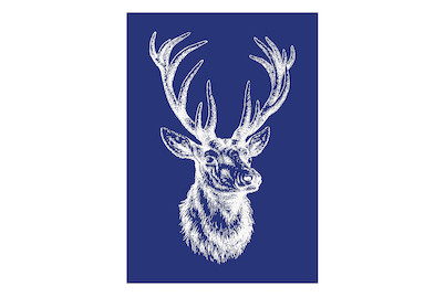 Image of Siebdruck-Schablone Edelhirsch, DIN A5, 1 Schabl.+1 Rakel im SB-Btl. bei JUMBO