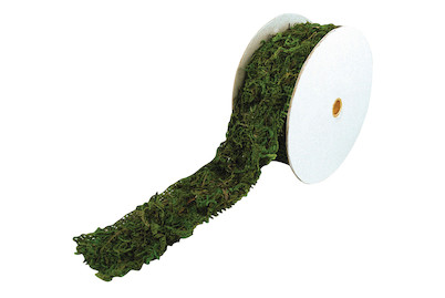 Image of Moosband, 5cm, Rolle 2m bei JUMBO
