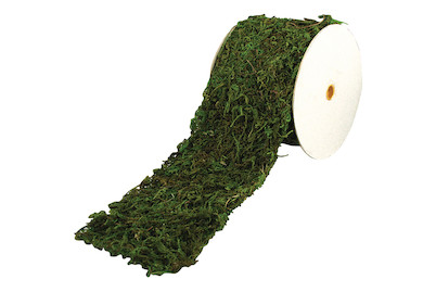 Image of Moosband, 10cm, Rolle 2m bei JUMBO