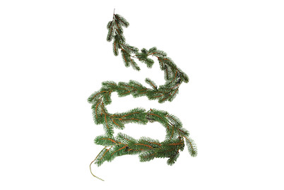 Image of Tannengirlande, 180cm bei JUMBO