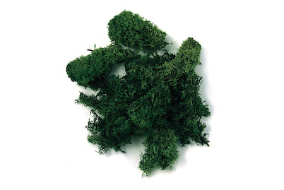 Image of Islandmoos 30 g bei JUMBO