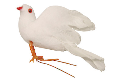 Image of Federtaube, 10cm bei JUMBO