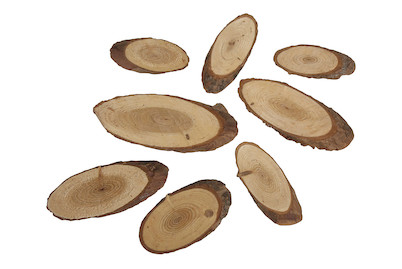 Image of Pinien-Scheiben oval Grösse 4-8 cm 100 g bei JUMBO