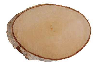 Image of Birken Scheibe oval natur, 21-23cm x 10cm x 2cm Höhe, Beutel 1Stück bei JUMBO