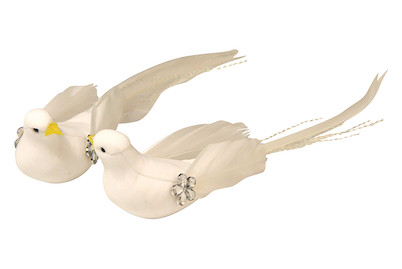 Image of Pilztaube mit Glitzerstein 14 cm 2 Sorten bei JUMBO