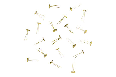 Image of Rundkopfklammern 18 Stück bei JUMBO