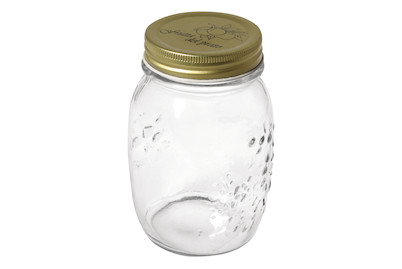 Image of Schraubdeckel Glas 500 ml, 8.5cm ø, 13,5cm bei JUMBO