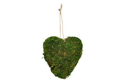 Image of Moosherz bei JUMBO