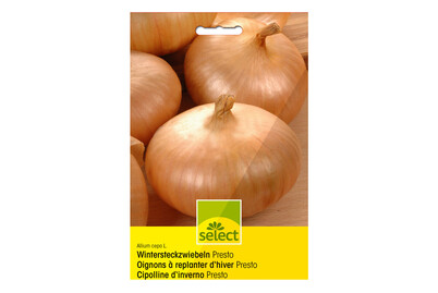 Image of Select Steckzwiebeln bei JUMBO
