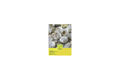 Image of Select Knoblauch bei JUMBO