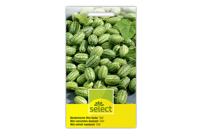 Image of Select Mexikanische Mini-Gurke Olé bei JUMBO