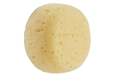 Image of Marabu Malschwämme bei JUMBO