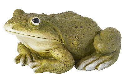 Image of Home and More Frosch Friedrich bei JUMBO