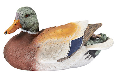 Image of Home and More Ente Ducky bei JUMBO