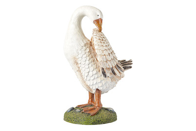 Image of Home and More Gans Martin bei JUMBO