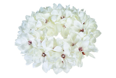 Image of My Home künstlicher Magnolie-Kranz bei JUMBO