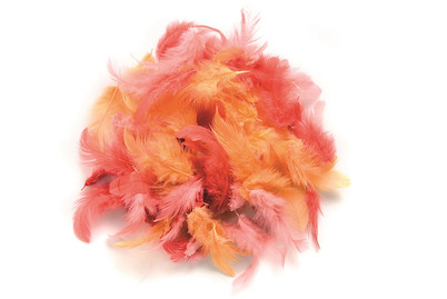 Image of Deco-Federn rot-sortiert 2g ca. 30 Stück bei JUMBO