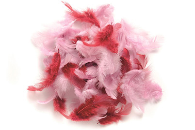 Image of Deco-Federn rosa-sortiert 2g ca. 30 Stück bei JUMBO